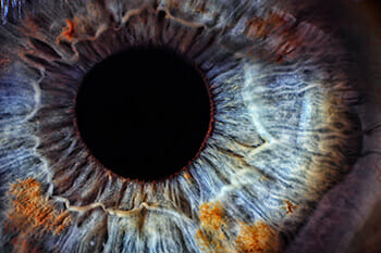 Closeup of an Eye