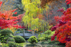 fort worth japanese garden